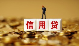 成都龙泉驿区哪里可以民间借贷-成都龙泉驿区私人借钱当天拿钱-成都龙泉驿区贷款联系电话