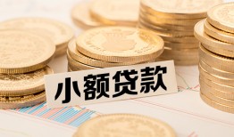 成都龙泉驿区哪里有小额贷款-成都龙泉驿区身份证贷款平台-成都龙泉驿区民间短借
